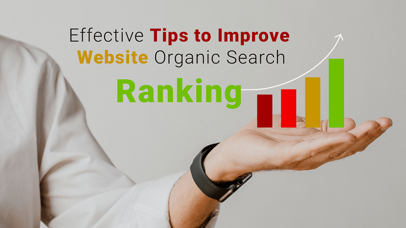 Improve Website Organic Search Ranking