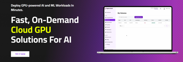 AI Infrastructure Providers