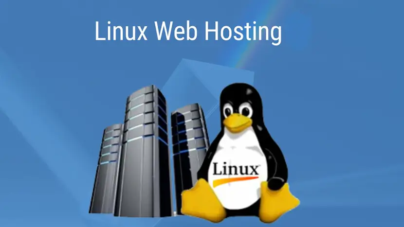 What is Linux web hosting