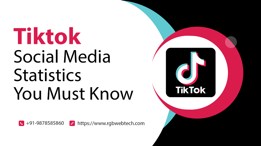 Tiktok Social Media Statistics
