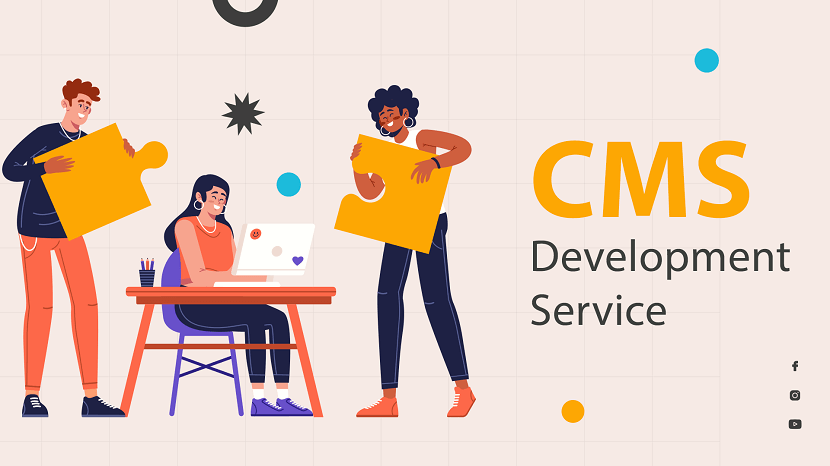 Professional CMS Development Service