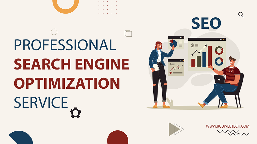 Professional Search Engine Optimization SEO Service