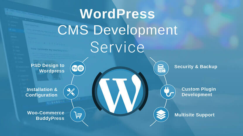 Wordpress Development Company